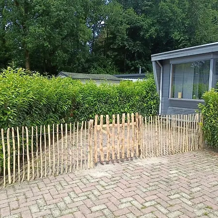 Chalet Casa - Cozy Forest In The Veluwe